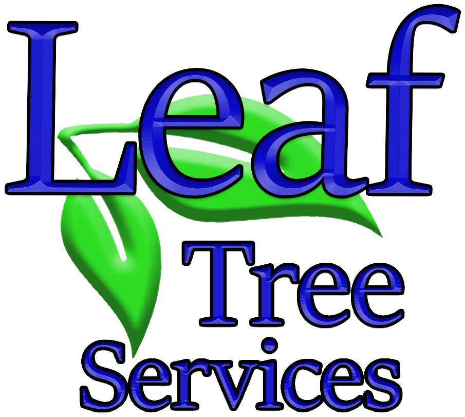 Tree Care Services - Leaf Tree Services