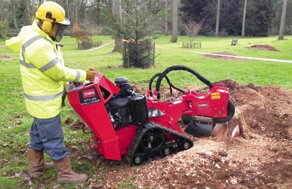 Stump Grinding