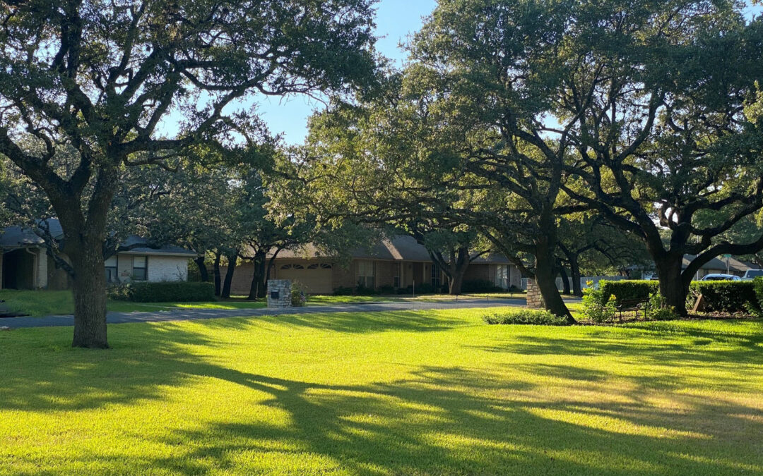 Tree Pruning