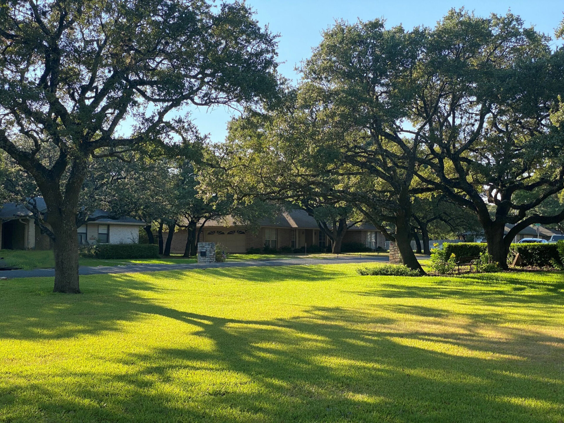 Tree Pruning