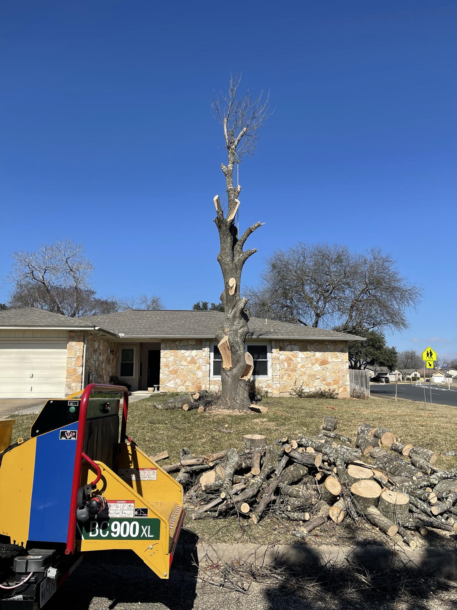 Tree Removal