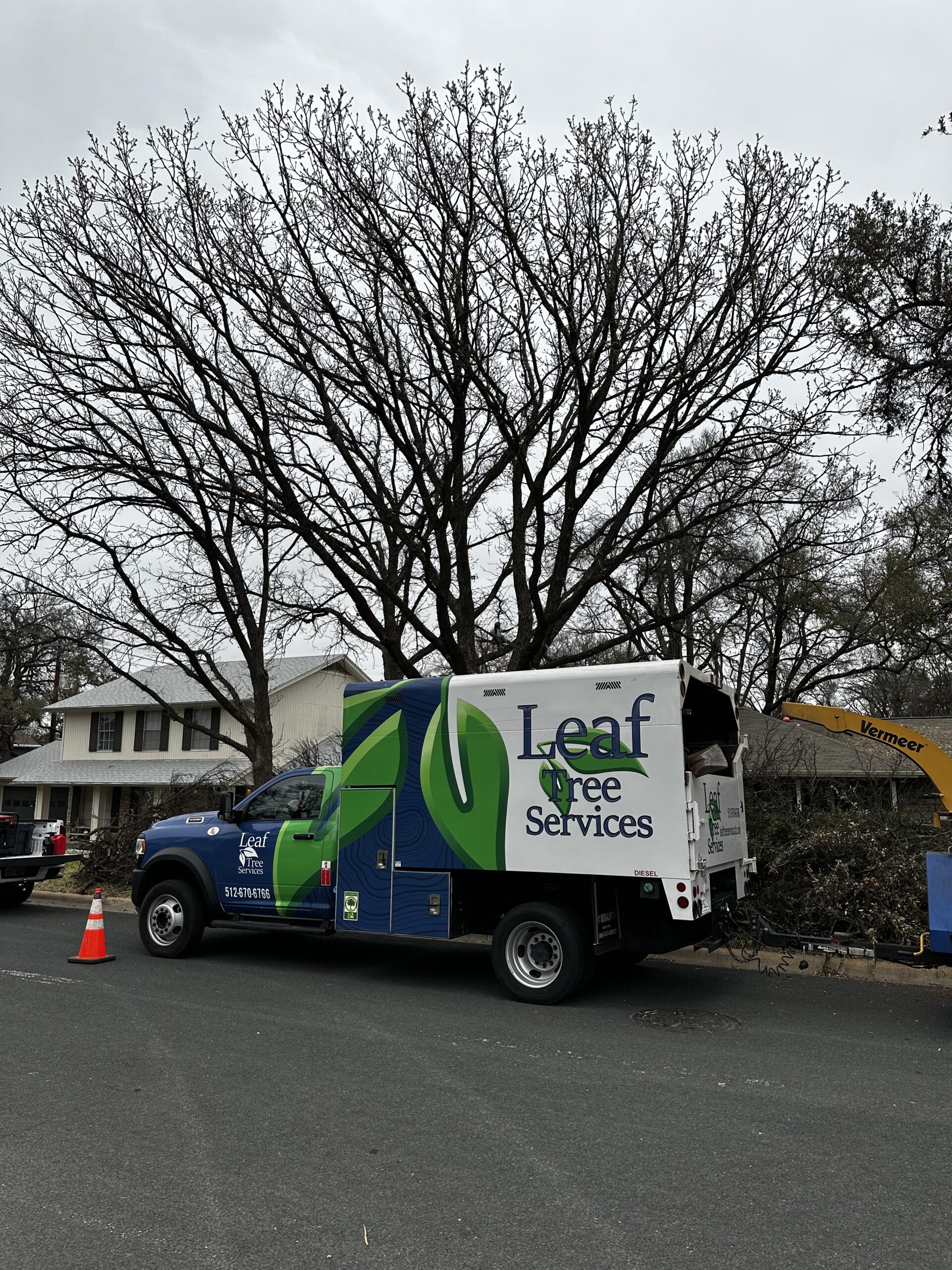 Leaf Tree Services