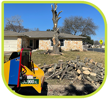 tree care services