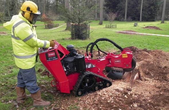 Stump Grinding