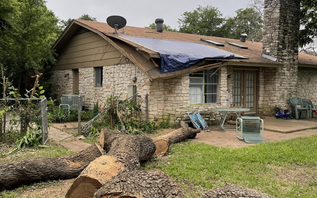 Land Clearing in Austin, TX: Transforming Overgrown Areas