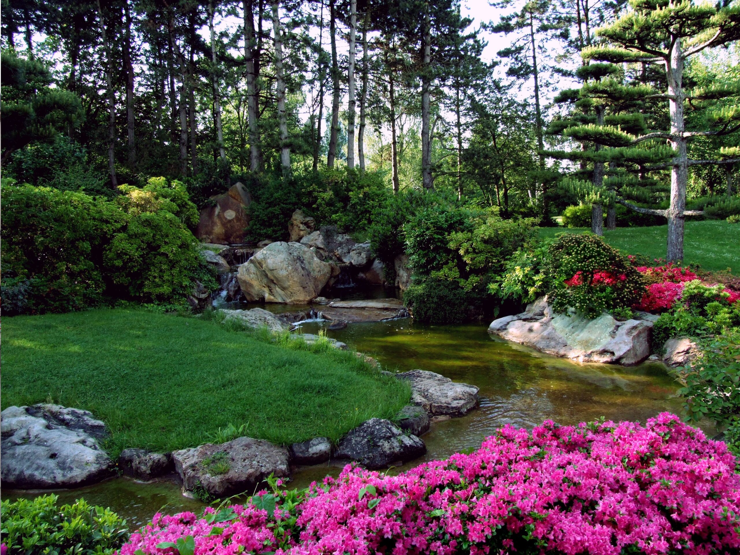 lanscaping