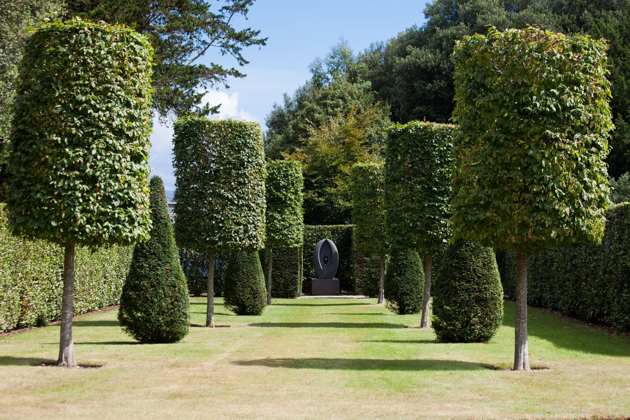 tree services