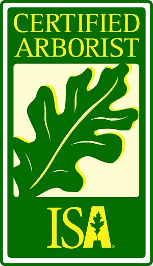 Certified Arborist- Leaf Tree Services, Austin TX