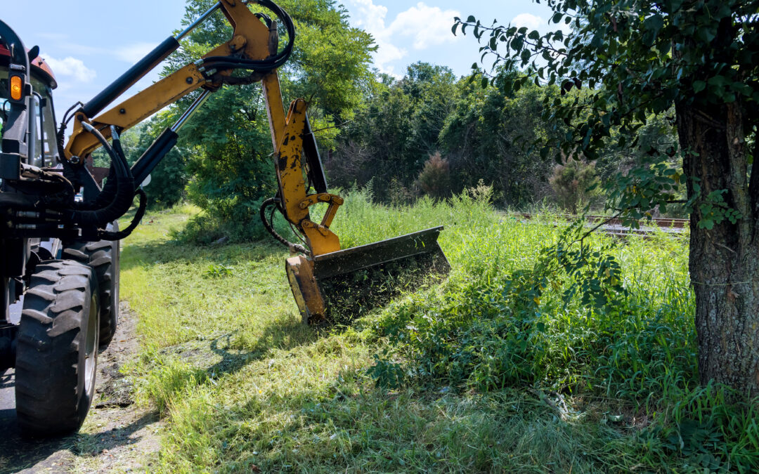 Land Clearing in Austin, TX, a Balance of Growth and Nature