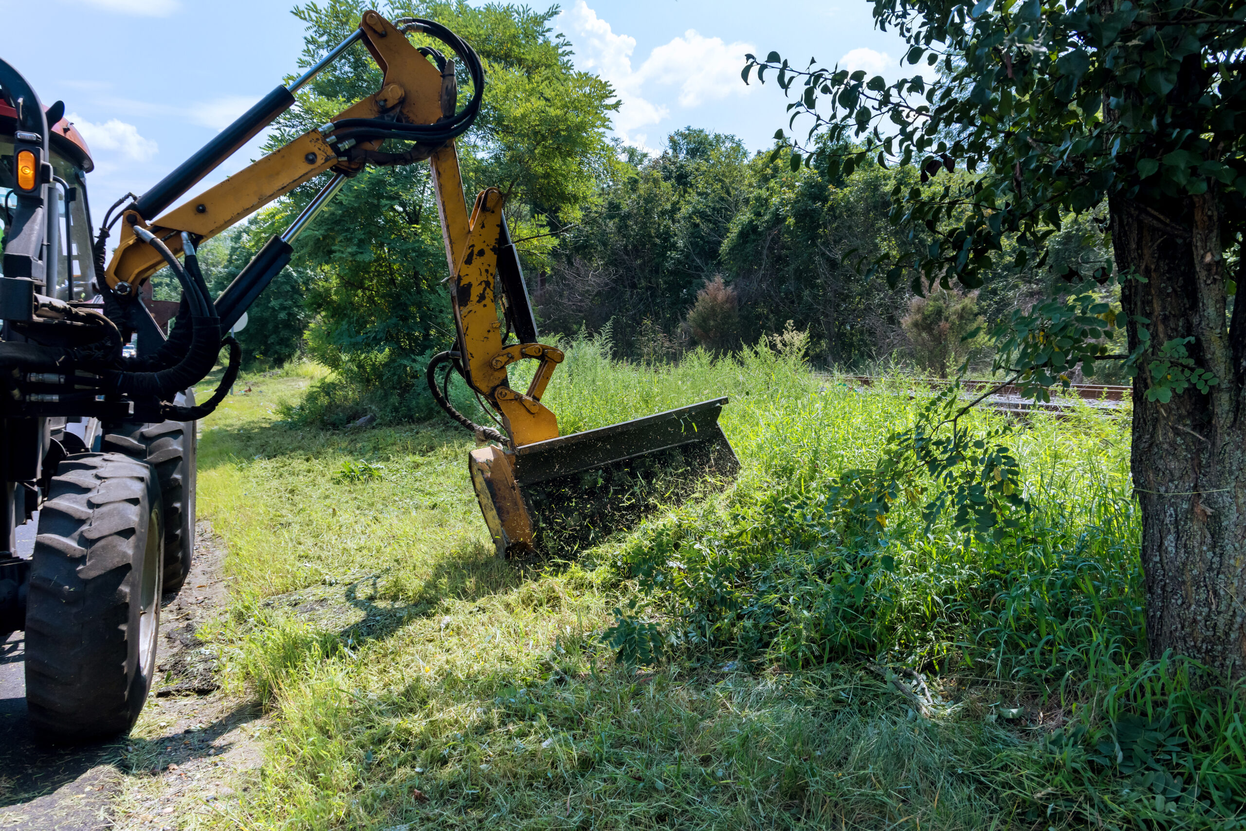 land clearing