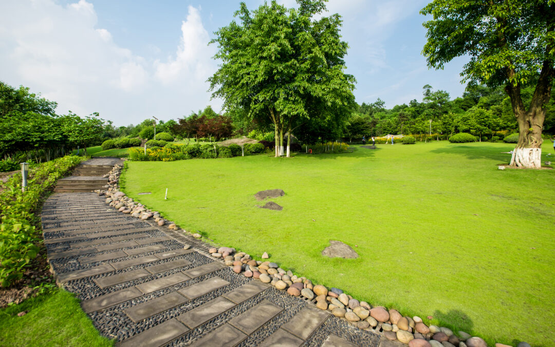 Landscaping in Austin, TX: Outdoor Elegance by Experts
