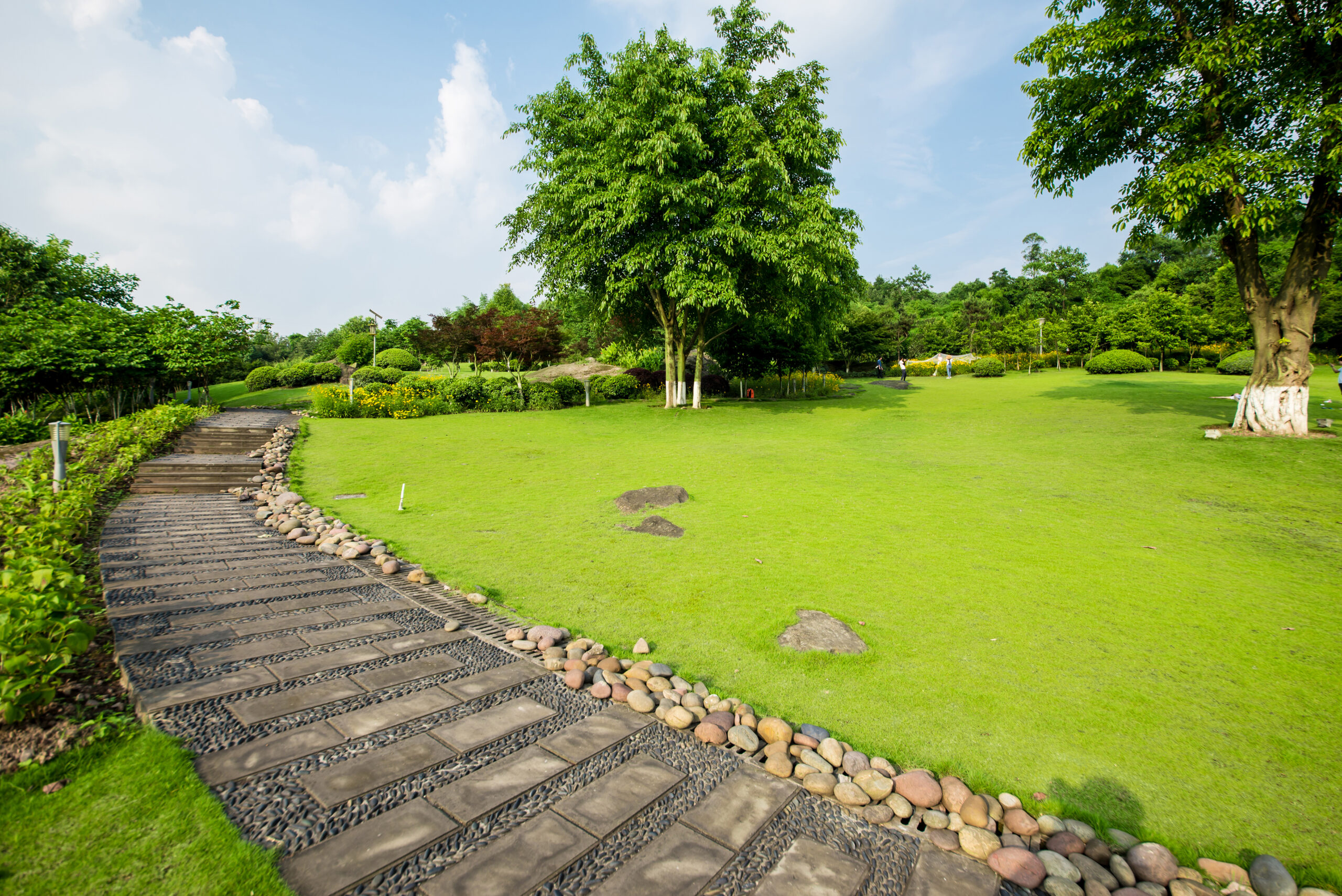 landscaping