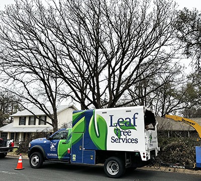 Arborist in Round Rock and Austin TX-Finding the Best Company