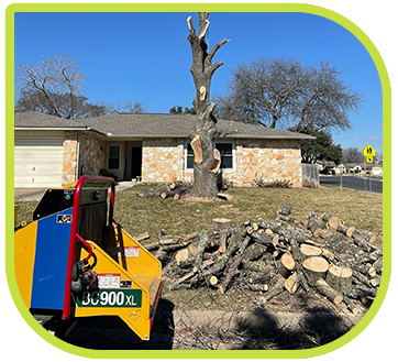 Tree Maintenance Options in Round Rock and Austin TX
